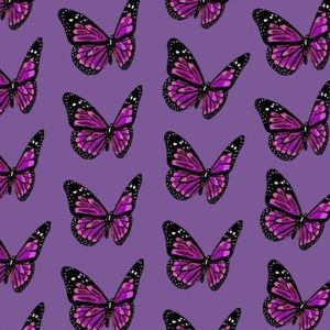 Meet your Posher, Cece